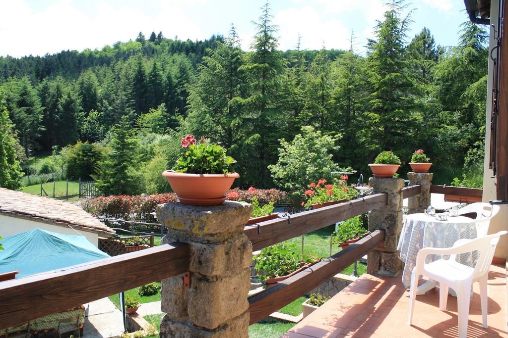 Agriturismo Biagiotti Abbadia San Salvator Dış mekan fotoğraf